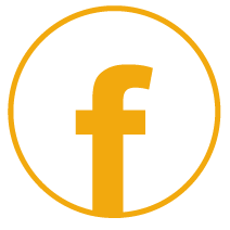 fb icon